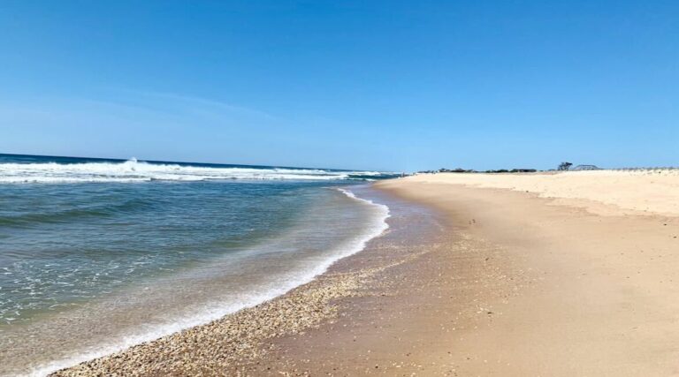 Passer une journée dans les Hamptons sans prendre de voiture