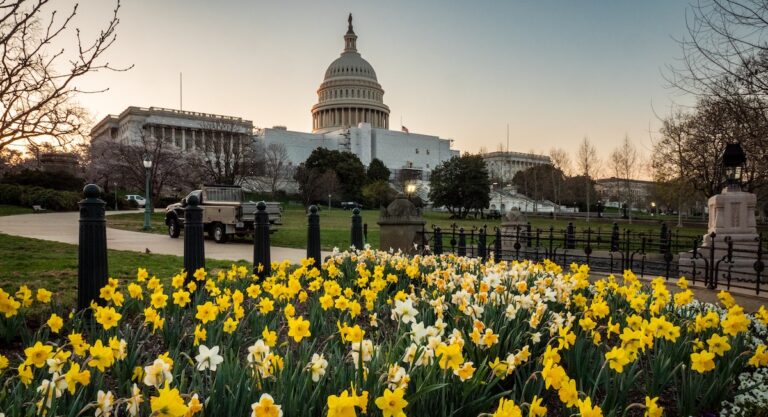 Que faire pour la Journée de la Terre à DC ?