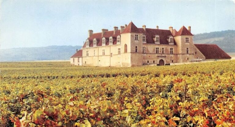 Dégustation des grands vins de Bourgogne au profit de la Gérard Basset Foundation