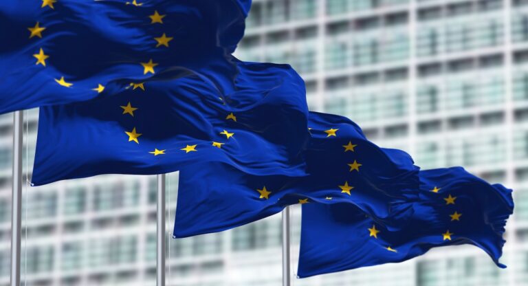 Européennes 2024 : Un débat en ligne pour les Français expatriés