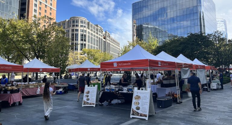 Comment profiter de l’automne dans la région de Washington ?