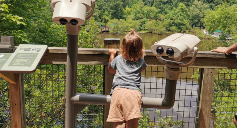 Voyage en famille aux États-Unis : Un nouveau rendez-vous pour réussir les vacances avec les enfants