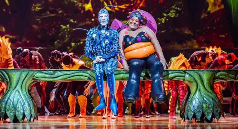 Cirque du Soleil : « OVO » revient en Floride dans une version revisitée