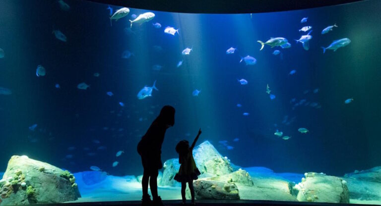Musées, aquarium, bibliothèques… 5 activités en intérieur pour les moins de 1 an à New York