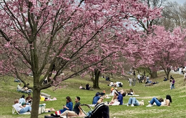 Brèves new-yorkaises : Un avant-goût d’été… perdu en une heure