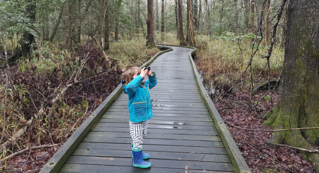 Great Dismal Swamp National Wildlife Refuge