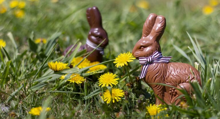 Pourquoi le lapin symbolise-t-il Pâques aux États-Unis?