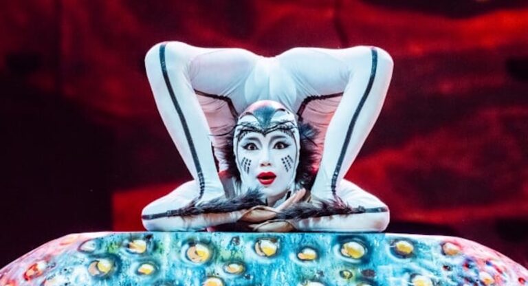 « OVO » du Cirque du Soleil attendu dans trois villes texanes