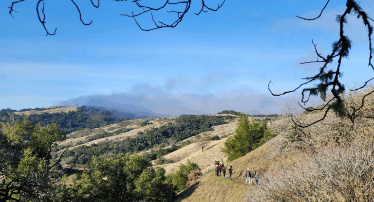 Bivouac bilingue au sommet avec l’Alliance Française de la Silicon Valley