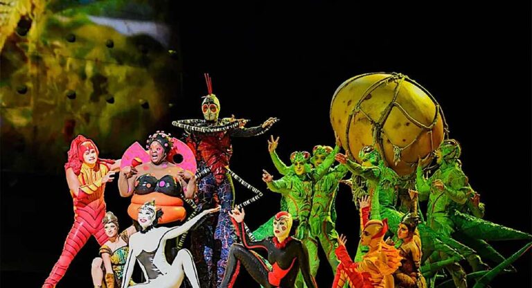 Cirque du Soleil : « OVO » cet été en Floride