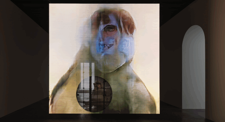 Pierre Huyghe, « In Imaginal » chez Marian Goodman Tribeca