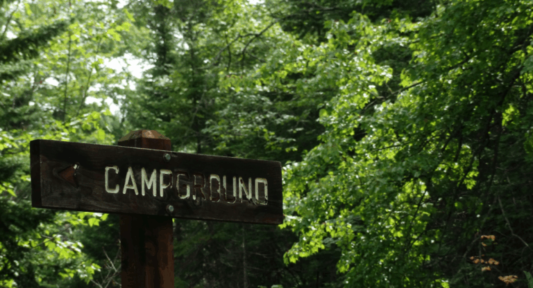 Sex in America : Les Summer Camps pour adultes (consentants)