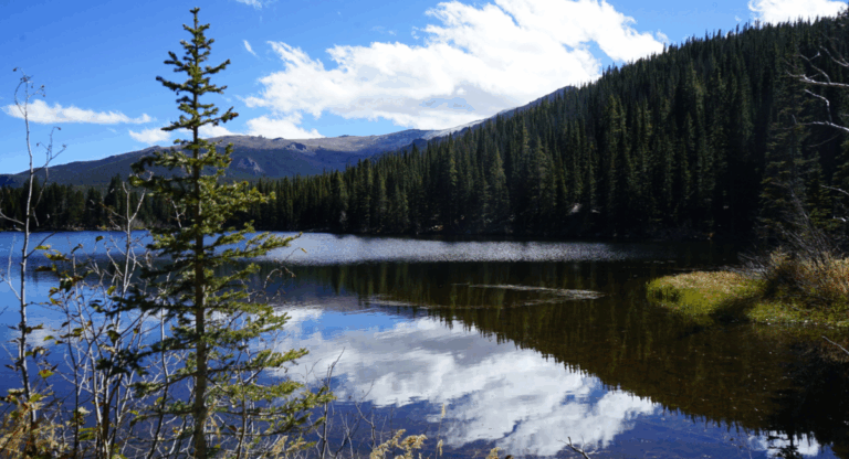 Parcs nationaux américains : Pourquoi les étrangers vont payer très cher en 2026 (et comment l’éviter)