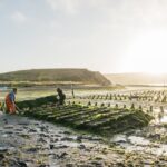Les huîtres de Tomales Bay, le trésor de la Californie du nord