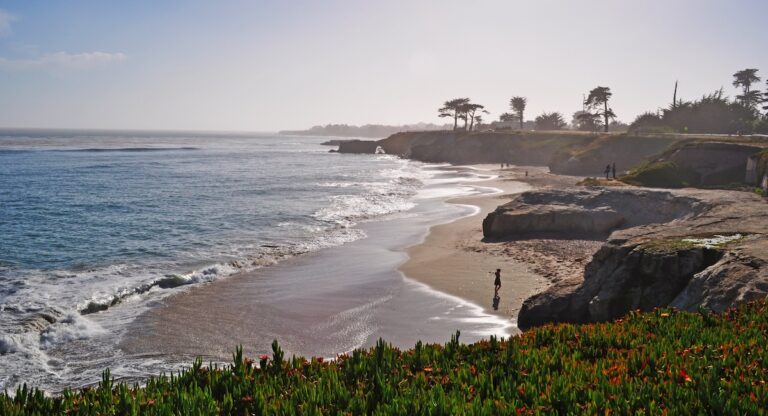 Santa Cruz, nouvelle vague californienne