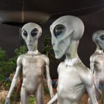 Pourquoi les migrants sont-ils appelés « aliens » aux États-Unis ?