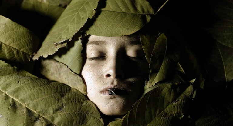 Cinq expositions intenses à New York