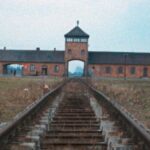 Arnaud Desplechin : « Il faut voir et revoir Shoah de Claude Lanzmann »