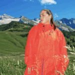 Vendredi sur Mer en concert pour la première fois aux États-Unis