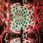 Dataland, le musée dédié aux arts de l’intelligence artificielle, ouvrira ses portes en juin