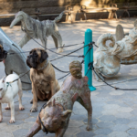 Les « Dogs » de Camille Henrot aux portes de Central Park