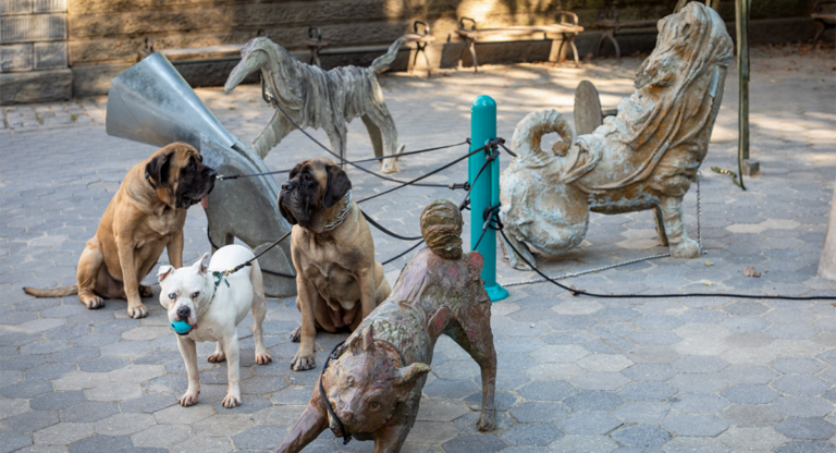 Les « Dogs » de Camille Henrot aux portes de Central Park